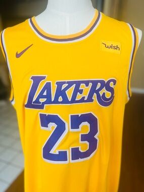 LeBron Los Angeles Lakers #23 Gold & Purple Jersey